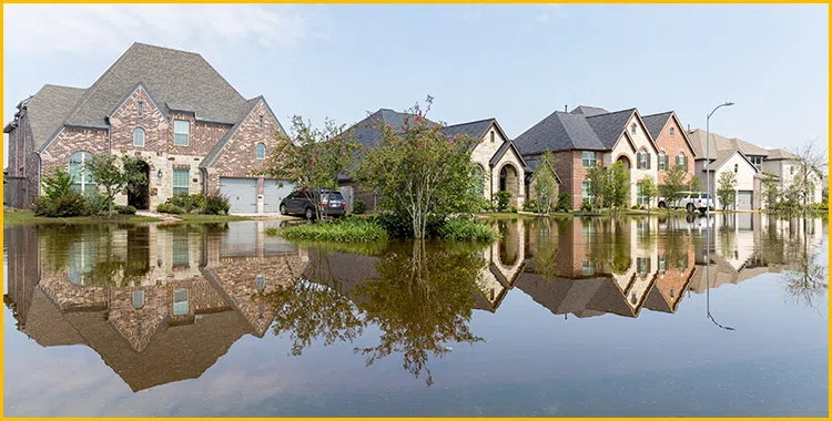 #bslide2 logo-image - banner-02